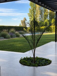 Jardín DM — foto 1
