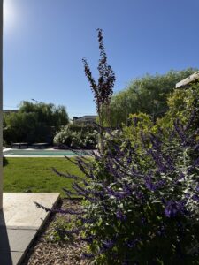 Jardín DF — foto 1