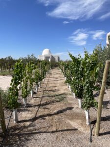 CHOZOS WINE HOUSES. Villa de lujos — foto 5