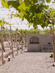 Bodega Rubino — foto 2