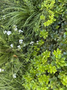 Jardín EG — foto 2