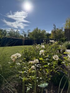 Jardín EG — foto 3