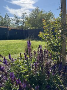 Jardín EG — foto 4