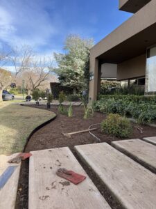 Jardín PS — foto 5