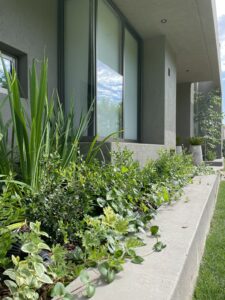 Jardín PS — foto 7