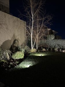 Jardín PS — foto 10