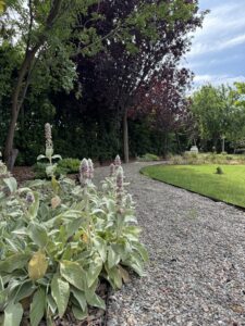 CASA DE CAMPO ENTRE VIÑEDOS — foto 12