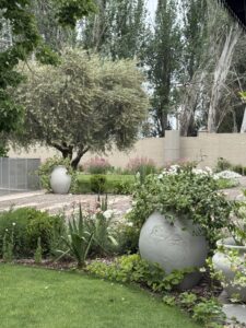 CASA DE CAMPO ENTRE VIÑEDOS — foto 18