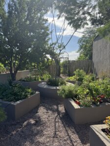 CASA DE CAMPO ENTRE VIÑEDOS — foto 19