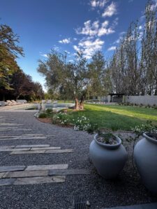 CASA DE CAMPO ENTRE VIÑEDOS — foto 2
