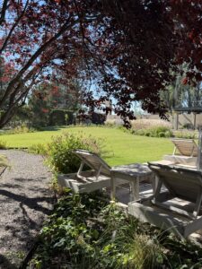 CASA DE CAMPO ENTRE VIÑEDOS — foto 21