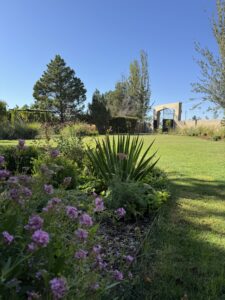 CASA DE CAMPO ENTRE VIÑEDOS — foto 5