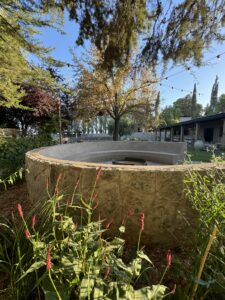 CASA DE CAMPO ENTRE VIÑEDOS — foto 6