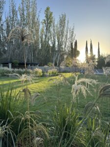 CASA DE CAMPO ENTRE VIÑEDOS — foto 7