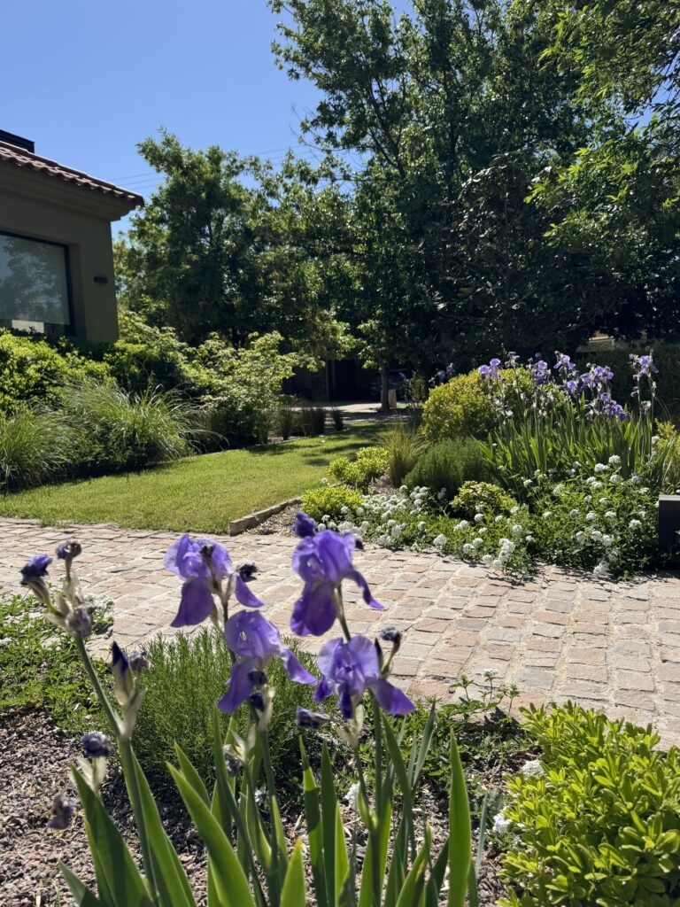 Jardín EG