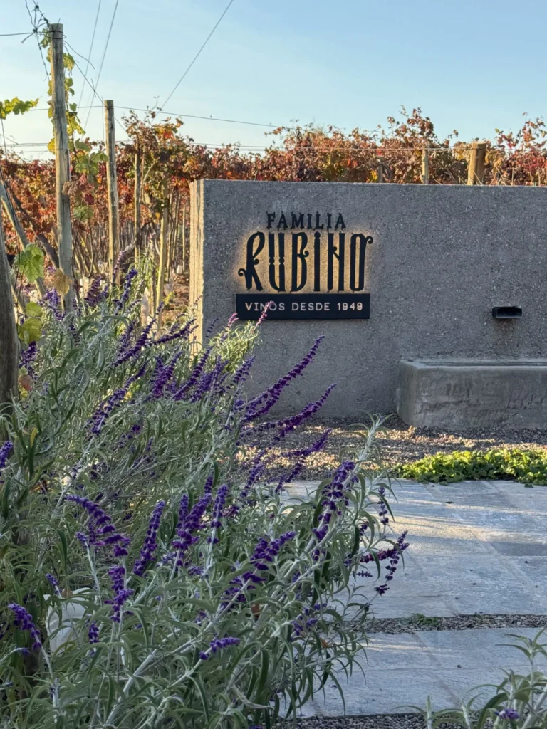 Bodega Rubino